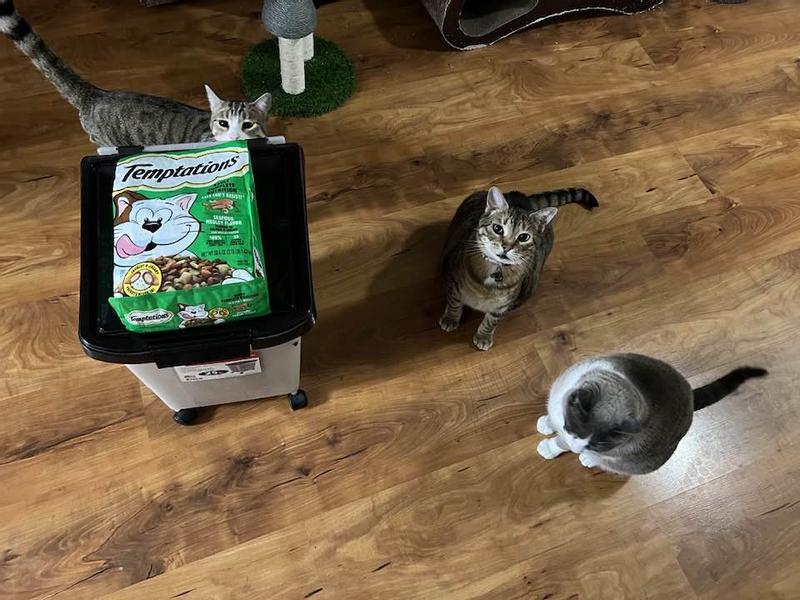 The crew got a whiff and the excitement is growing