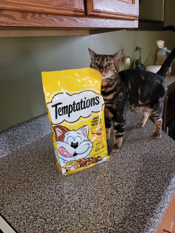 Temptations Dry Cat Food Chicken 3.15 lbs Meijer