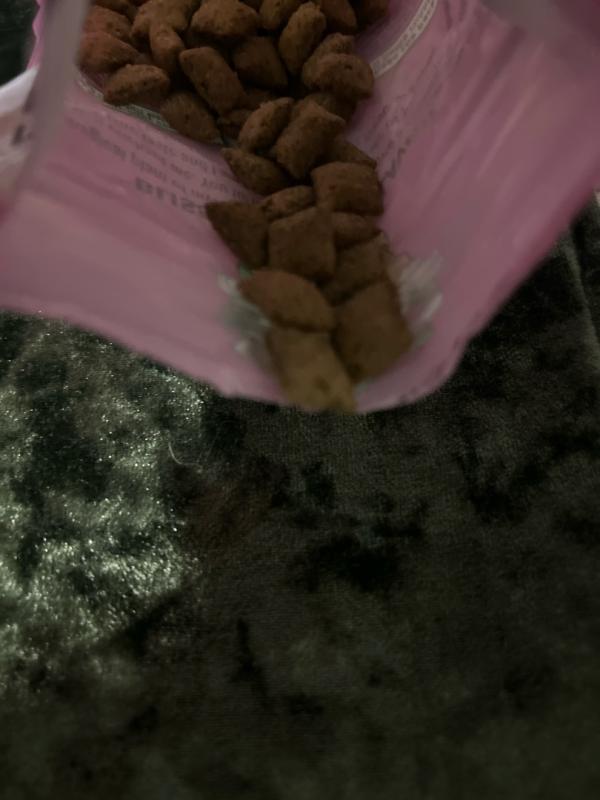 Review photo 4.
