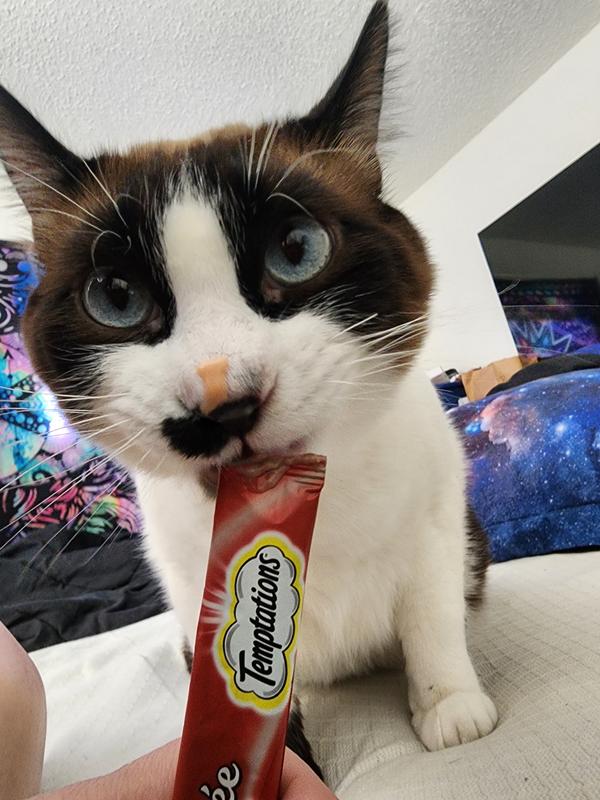 Photo - commentaire&nbsp;3.