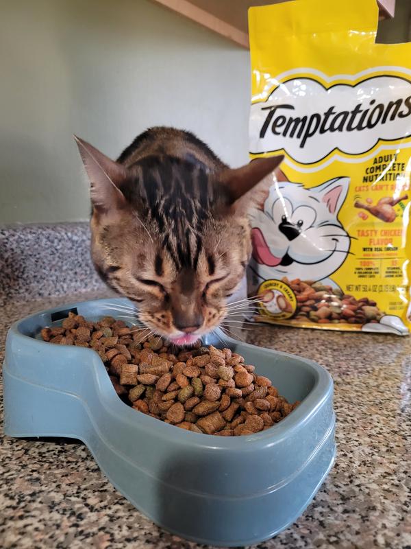 Temptations Dry Cat Food Chicken 3.15 lbs Meijer