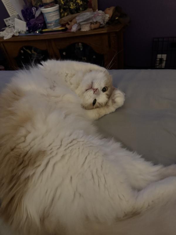 Photo - commentaire&nbsp;1.