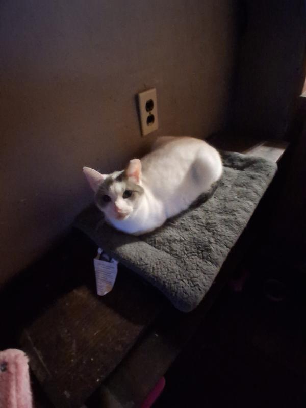 Review photo 1.