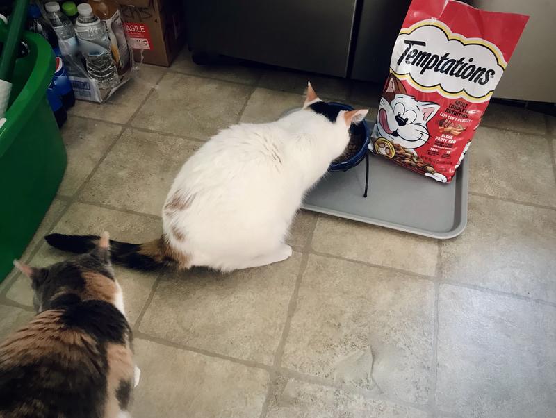 Word got out, and a line began to form.