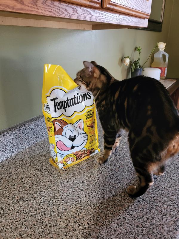 Temptations Dry Cat Food Chicken 3.15 lbs Meijer