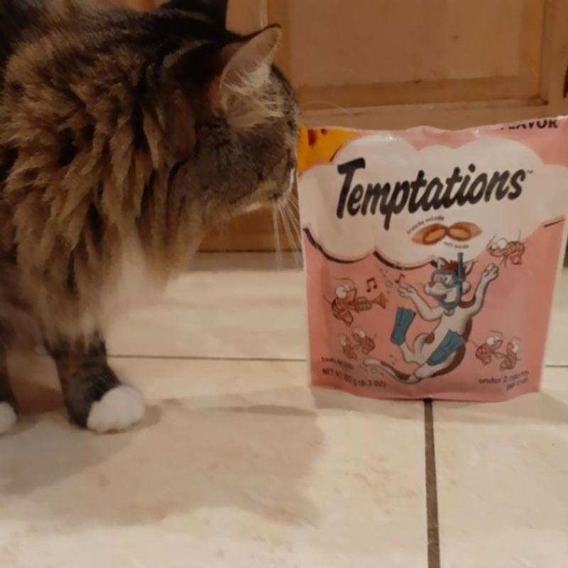 temptations-shrimpy-shrimp-cat-treats-crunchy-soft-3-oz