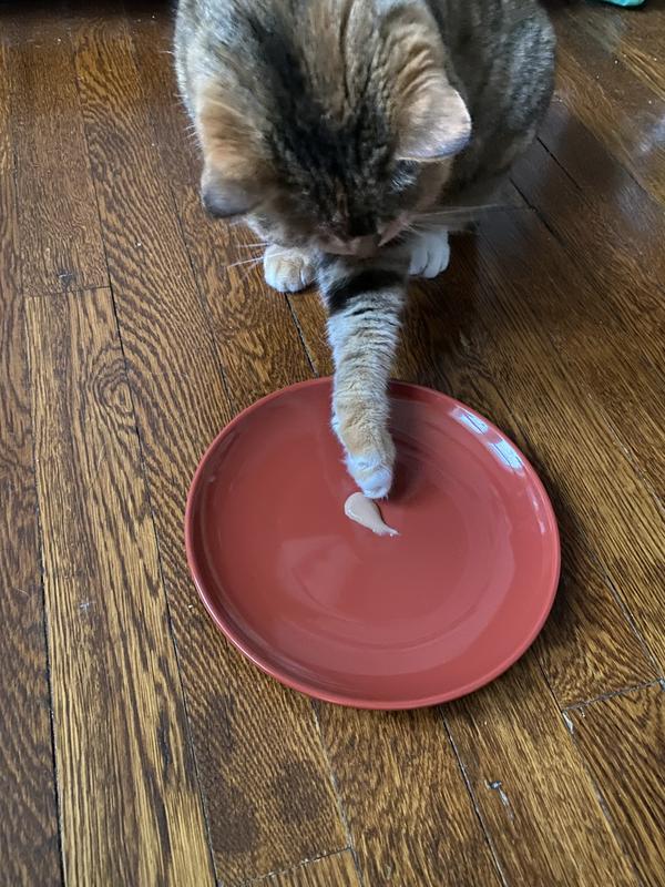 Photo - commentaire&nbsp;6.