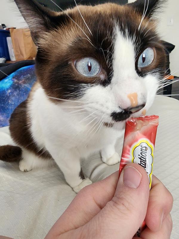 Photo - commentaire&nbsp;2.