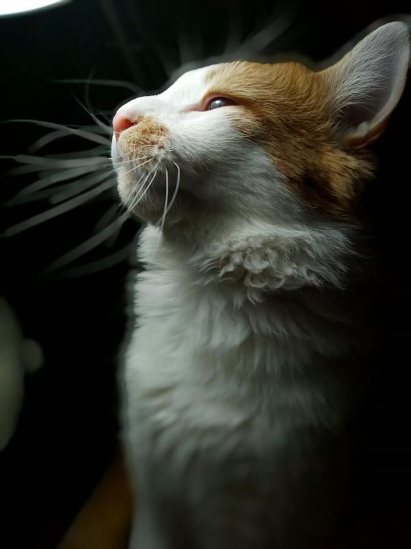 Murphy dreaming of more Temptations!