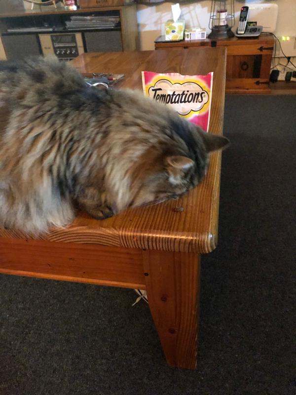 Temptations Hearty Beef Flavor Cat Treats – Petsense