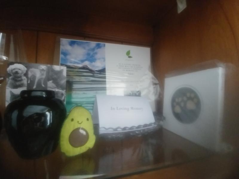 All i have left of my baby