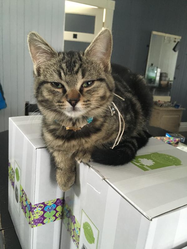 Voici une des coupables hehe (Weska)