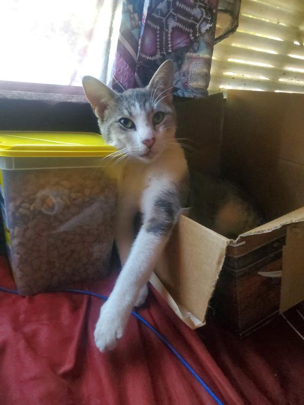 Little with his treats