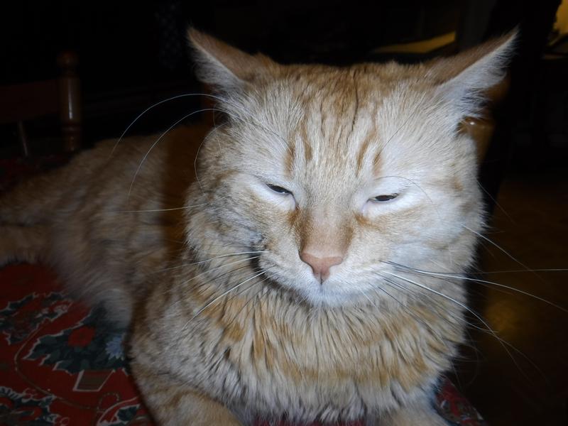 CARAMEL  ADORE VOS  TEMTATIONS SES DES RÉCOMPENSE POUR LUI