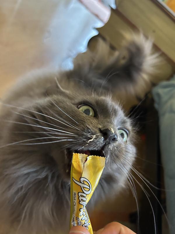 Photo - commentaire&nbsp;4.