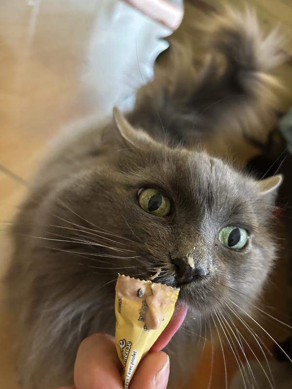 Photo - commentaire&nbsp;3.