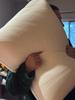 User submitted photo