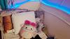 User submitted photo