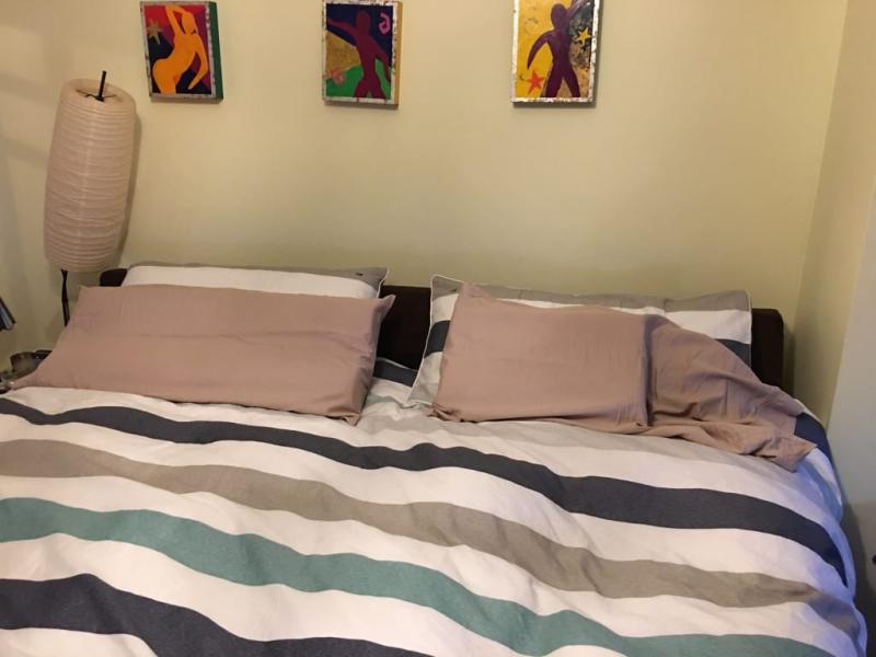 On the right is the tiny pillows they sell. No longer sell kings size (on the left). But they sell king beds SMH