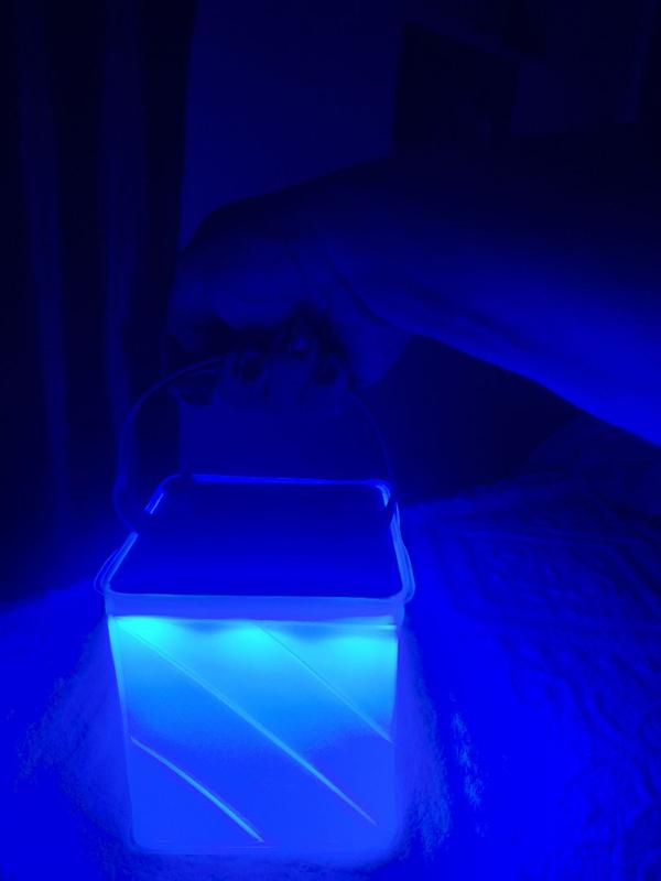 User uploaded product image