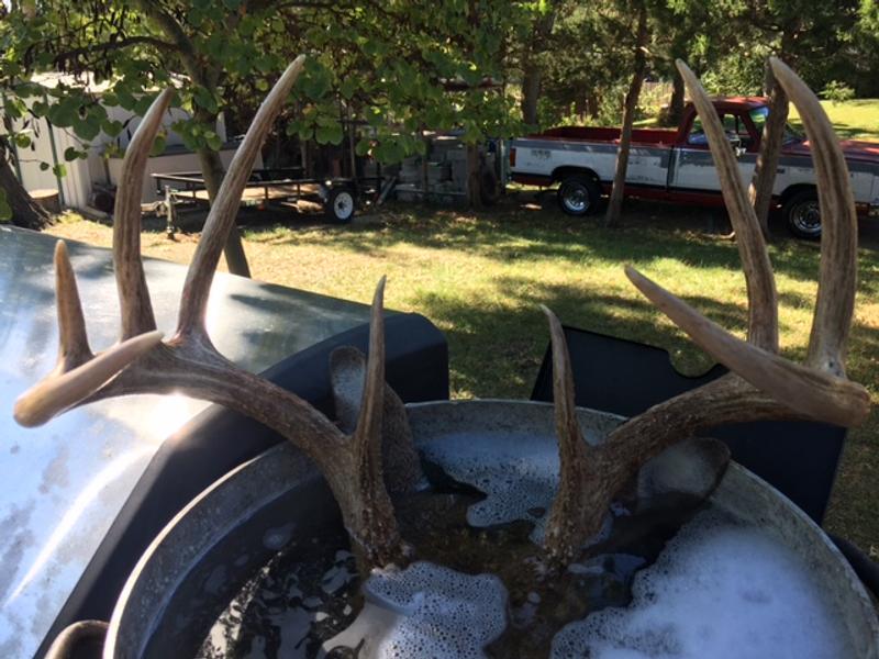 Photo submitted with review of product