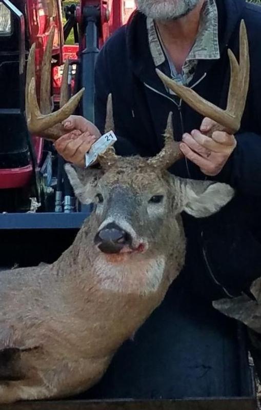 Photo submitted with review of product