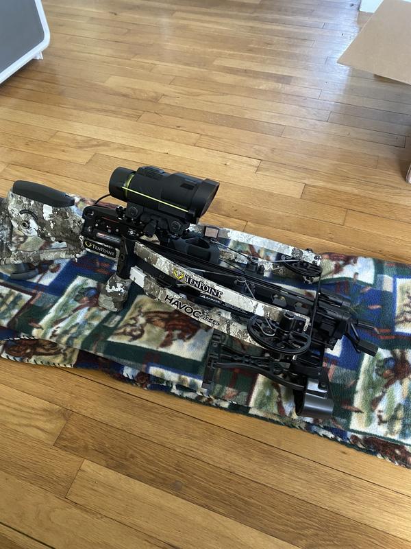 6 flèches EK-Archery carbone 50cm 20 - Armurerie Centrale
