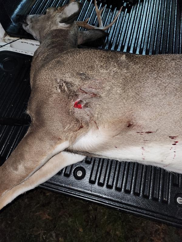 Photo submitted with review of product