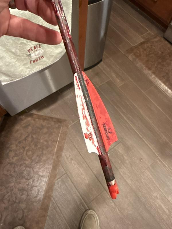 Left quite the blood trail