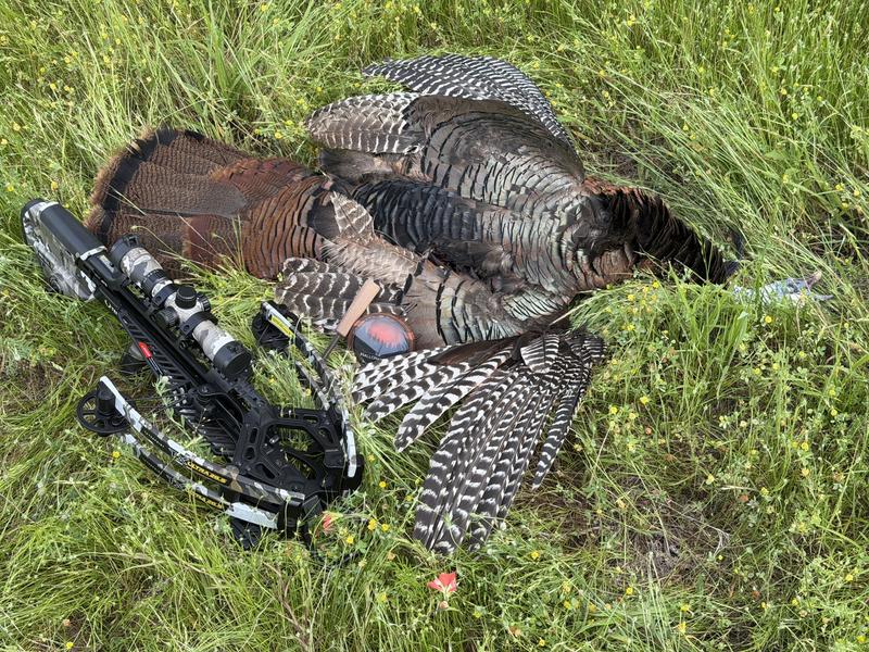 TX Ultra 26.5 Vision Compact Recording Crossbow | TenPoint