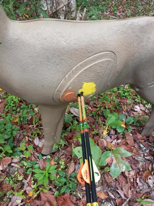 Photo submitted with review of product