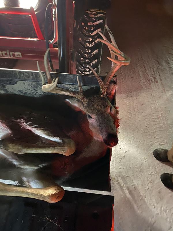 Photo submitted with review of product