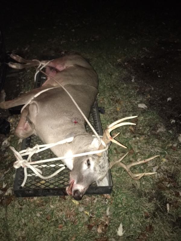 Photo submitted with review of product