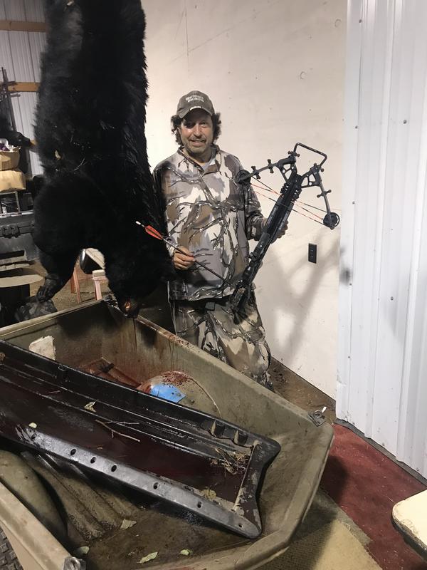 325 # Bear