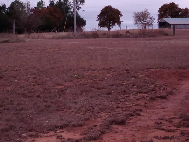 The lighted nock is the green dot just left of center.