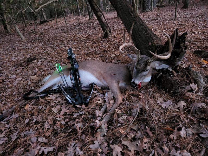 ボディプロTENテン TenPoint Turbo X Crossbow | Fastest, Lightest, Most Accurate Turbo