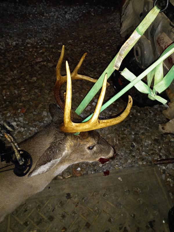 Photo submitted with review of product