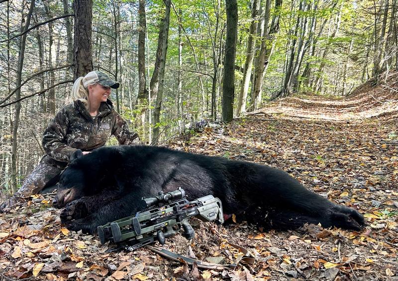 Bear
