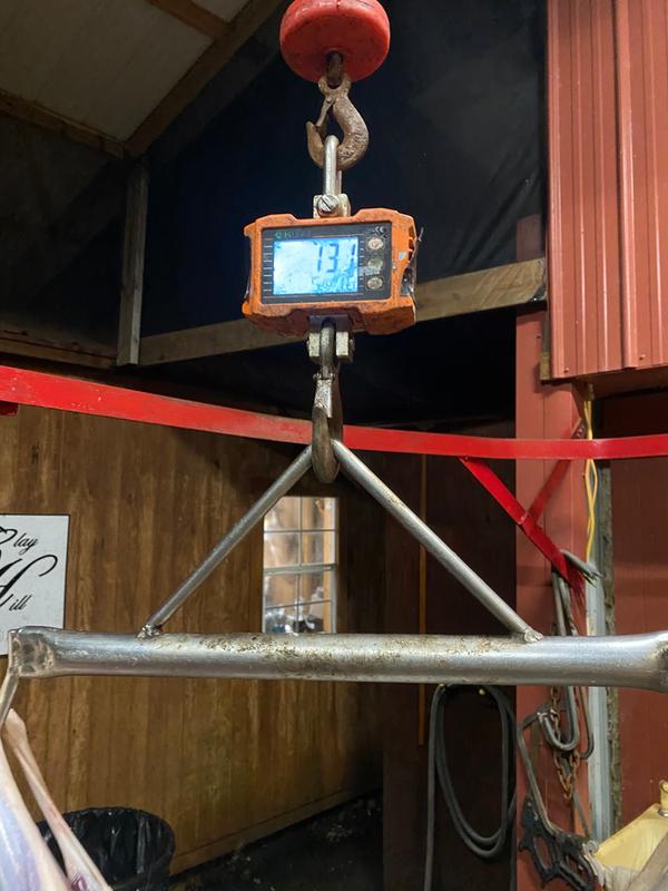 Photo submitted with review of product