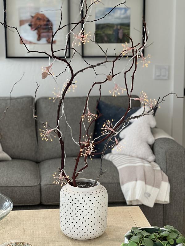 Stargazer Twinkling Northstar Twine Lights | Terrain