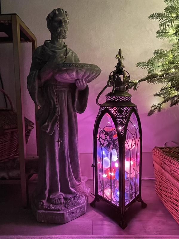 ASTRO STARGAZER グラスボール ムードライト　ライト Stargazer Garden Lights, Set of 21 Bulbs, Pastille | Terrain