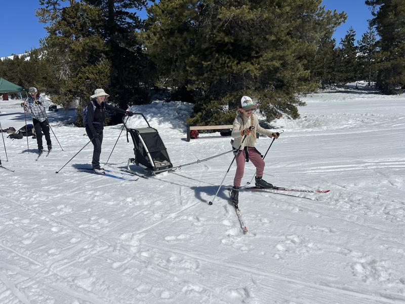 Mini Chariot pour Ski - HUBY