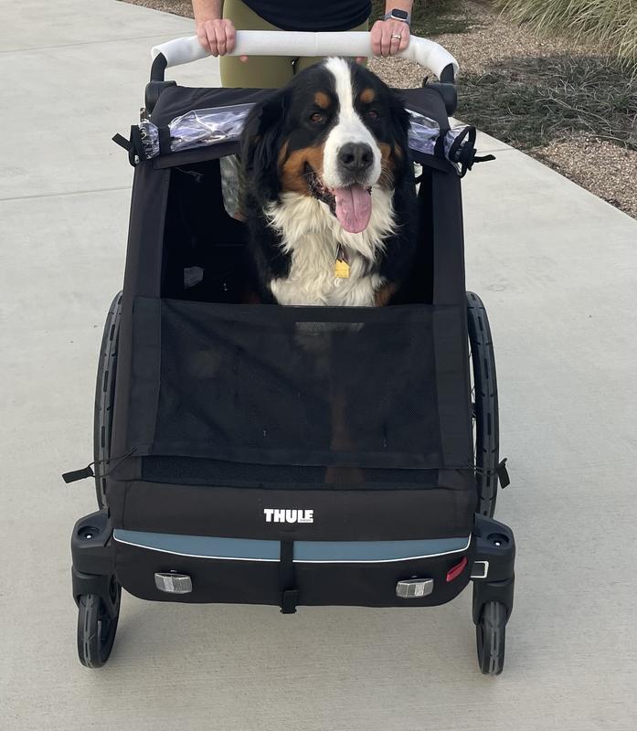 Bike trailers for dogs and cargo, Thule