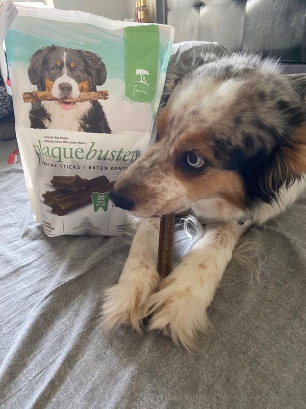 Breath busters dog outlet treats