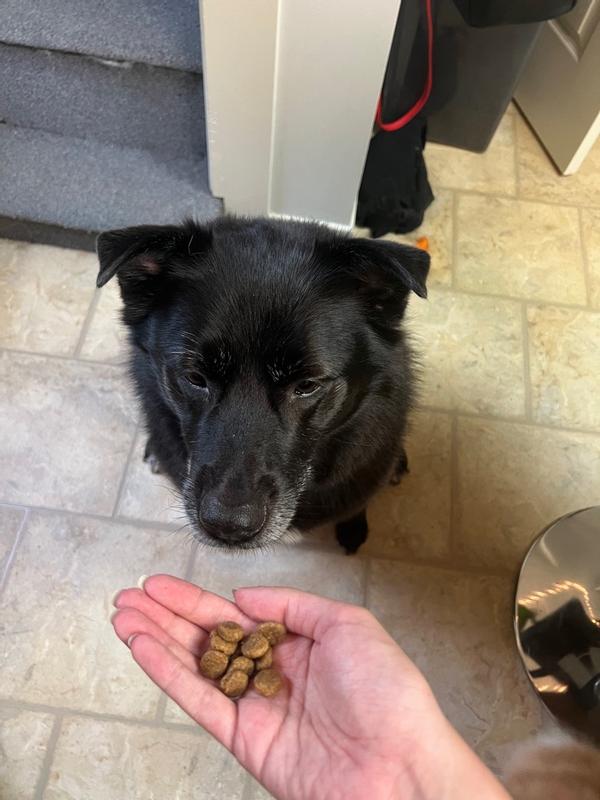 Photo - commentaire&nbsp;8.