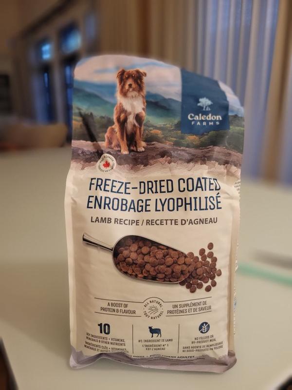 Photo - commentaire 2.