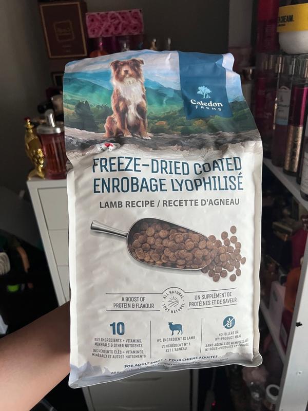 Photo - commentaire 7.