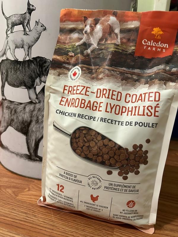 Photo - commentaire&nbsp;3.