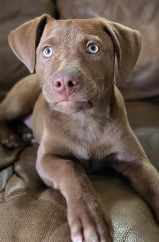 Photo - commentaire 1.