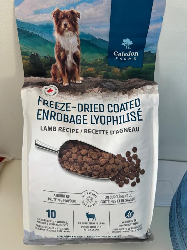 Photo - commentaire&nbsp;8.